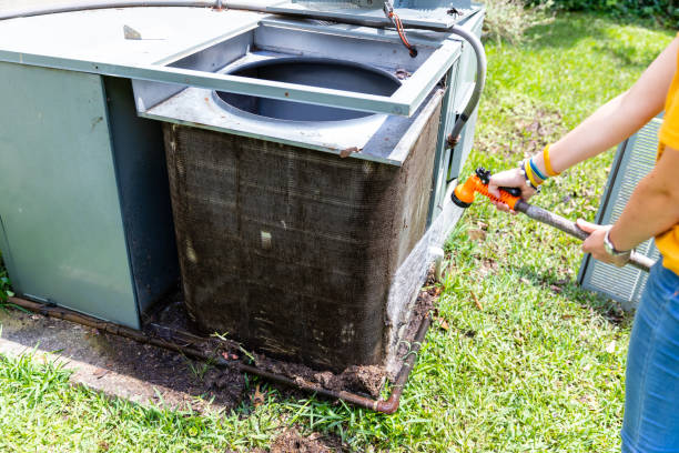 Best Air Duct Sanitizing Services  in Bodega Bay, CA
