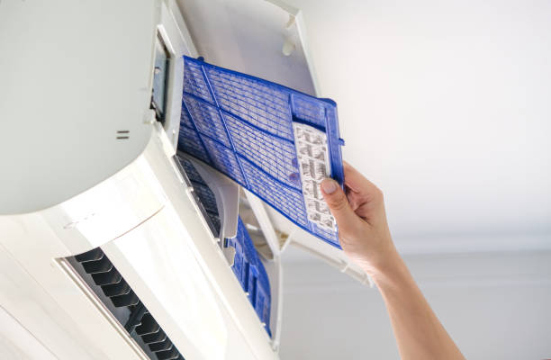 Best Home Air Vent Cleaning  in Bodega Bay, CA